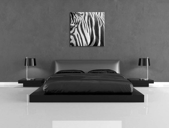 Pixxprint Zebra Porträt, Format: 70x70 auf Leinwand, XXL riesige Bilder fertig gerahmt mit Keilrahme