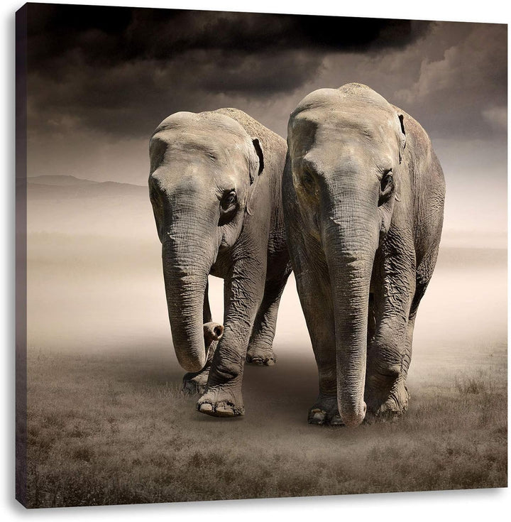 Pixxprint Zwei stolze Elefanten in Steppe als Leinwandbild/Grösse: 70x70 / Wandbild/Kunstdruck/ferti