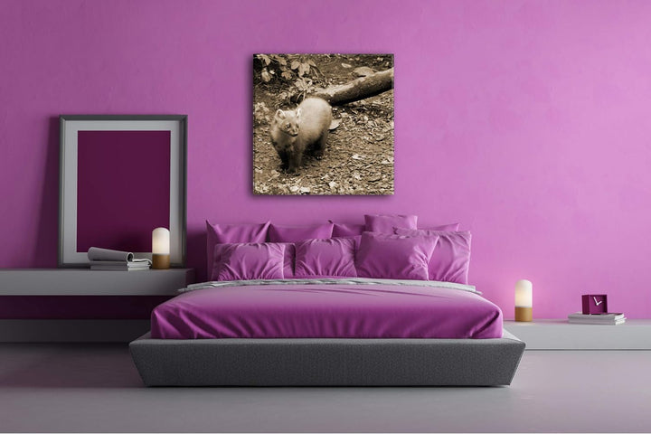 deyoli süsser Marder Format: 60x60 Effekt: Sepia als Leinwandbild, Motiv fertig gerahmt auf Echtholz