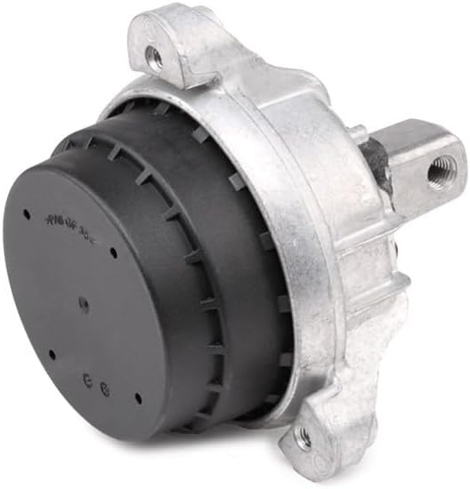Corteco 80004448 Lagerung, Motor