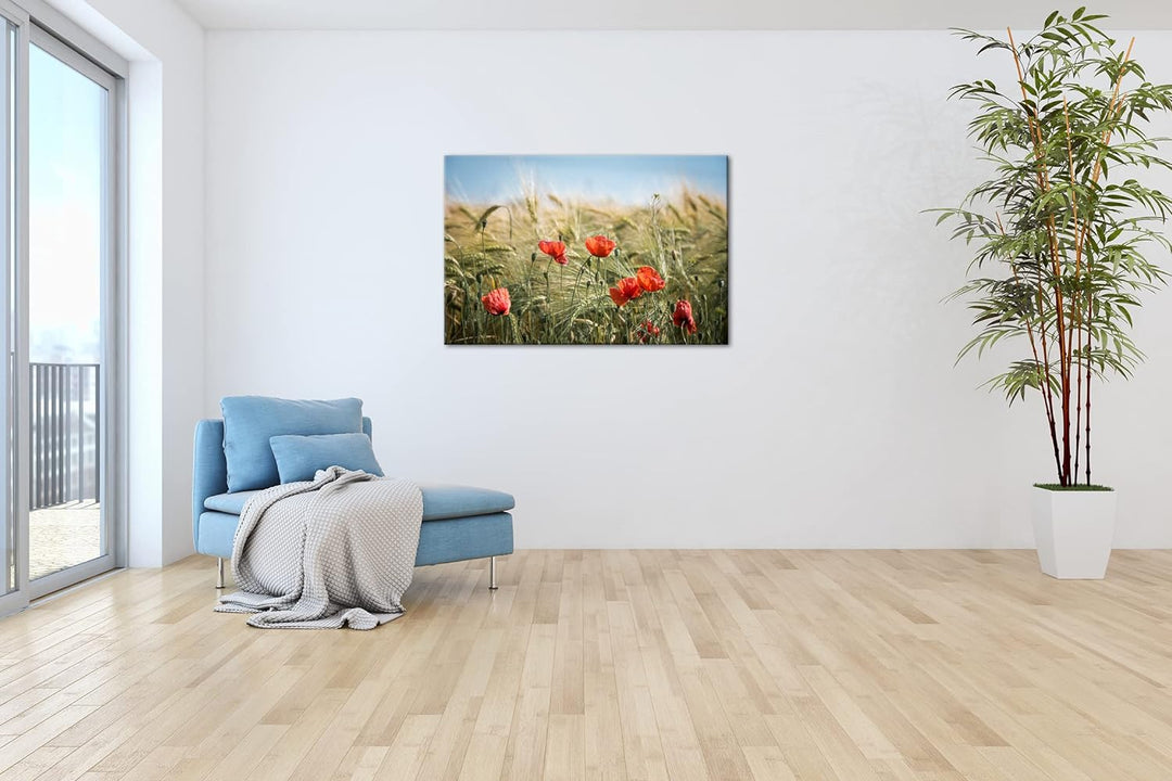 deyoli zarte Mohnblumen im Getreidefeld Format: 60x40 als Leinwand, Motiv fertig gerahmt auf Echthol