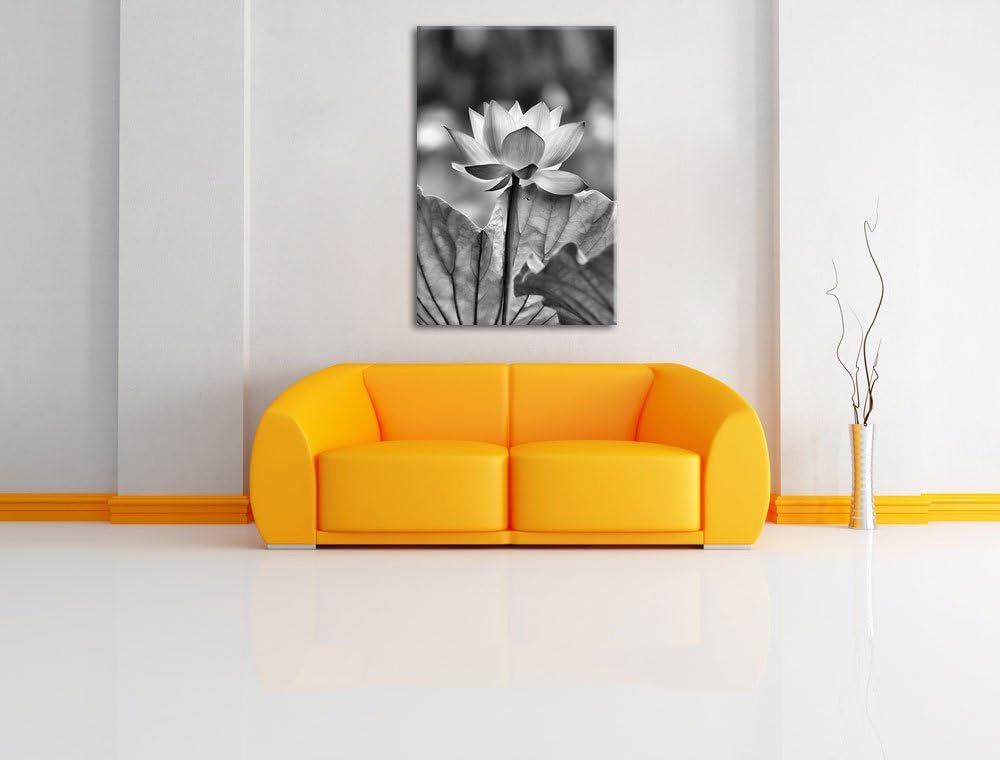 Pixxprint Zarte rosafarbener Lotus als Leinwandbild/Grösse: 100x70 / Wandbild/Kunstdruck/fertig besp