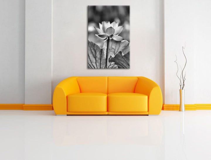 Pixxprint Zarte rosafarbener Lotus als Leinwandbild/Grösse: 100x70 / Wandbild/Kunstdruck/fertig besp