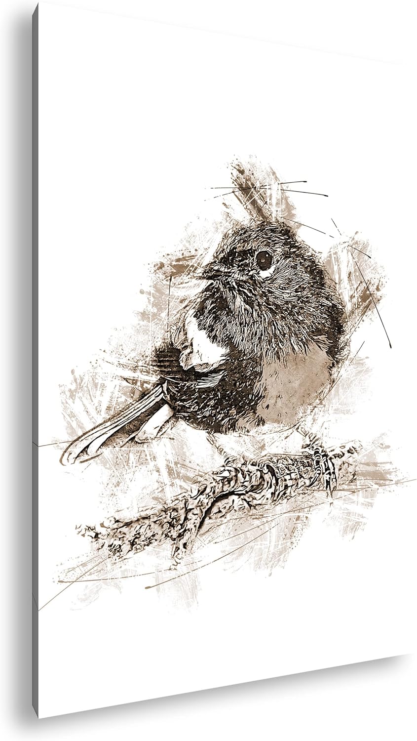 deyoli Robin Rotkehlchen Format: 80x60 Effekt: Sepia als Leinwandbild, Motiv fertig gerahmt auf Echt