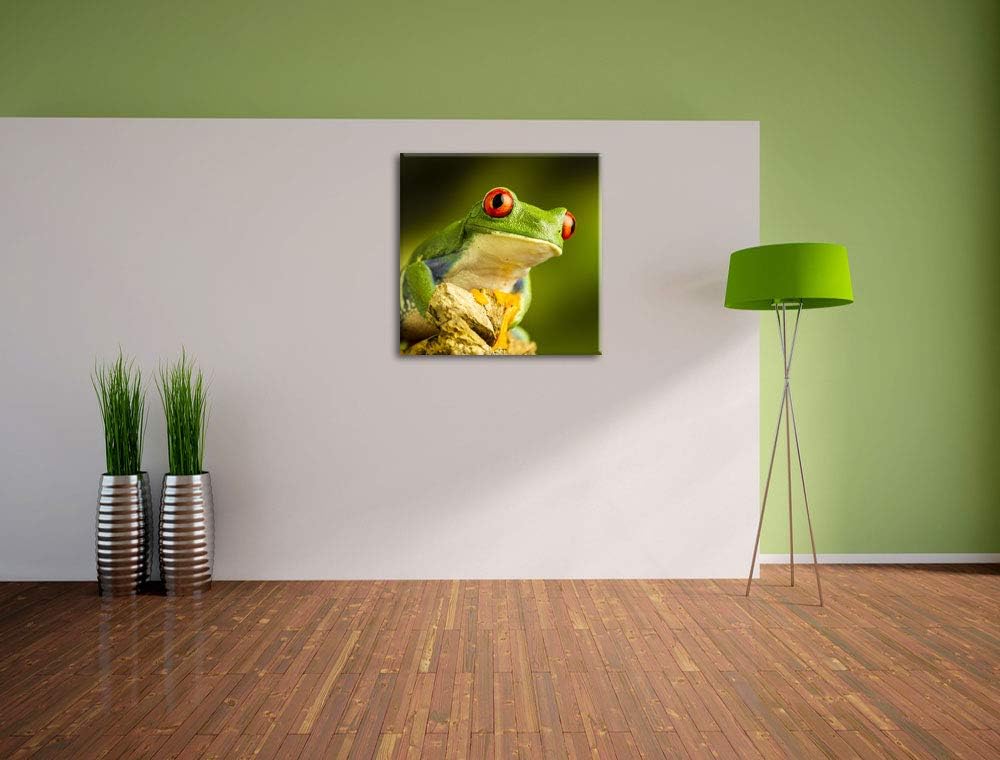 Grüner Rotaugen Frosch, Format: 70x70 auf Leinwand, XXL riesige Bilder fertig gerahmt mit Keilrahmen