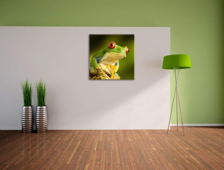 Grüner Rotaugen Frosch, Format: 70x70 auf Leinwand, XXL riesige Bilder fertig gerahmt mit Keilrahmen