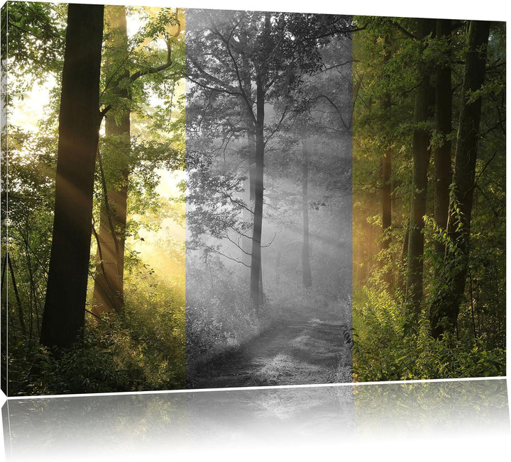 Ruhiger Waldweg im Grünen schwarz/weiss Format: 100x70 auf Leinwand, XXL riesige Bilder fertig gerah