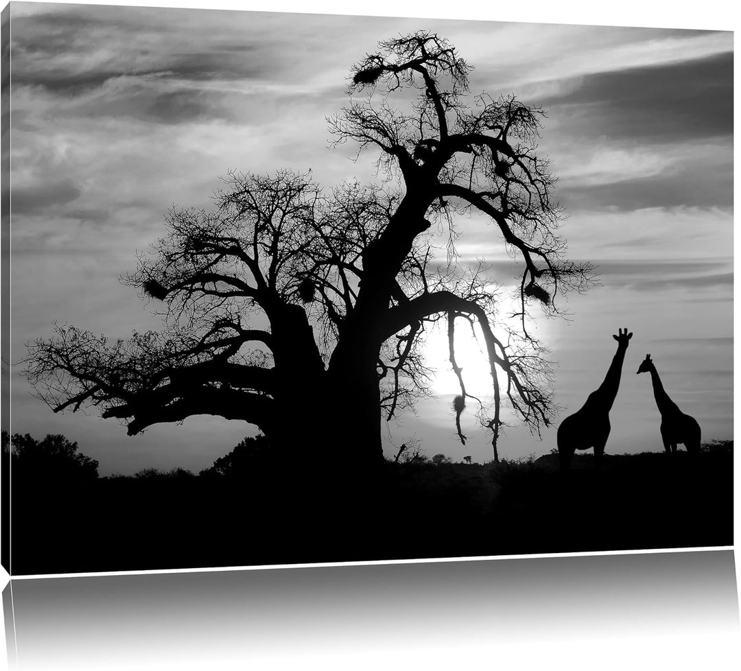 Pixxprint Zwei Giraffen in der Wüste als Leinwandbild/Grösse: 100x70 cm/Wandbild/Kunstdruck/fertig b