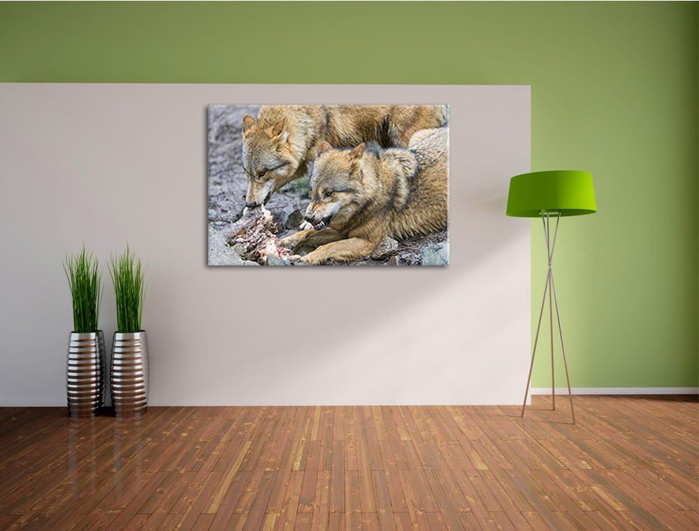 Pixxprint Wölfe beim Fressen auf Leinwand, XXL riesige Bilder fertig gerahmt mit Keilrahmen, Kunstdr