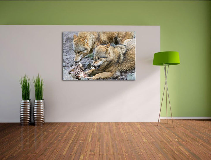 Pixxprint Wölfe beim Fressen auf Leinwand, XXL riesige Bilder fertig gerahmt mit Keilrahmen, Kunstdr
