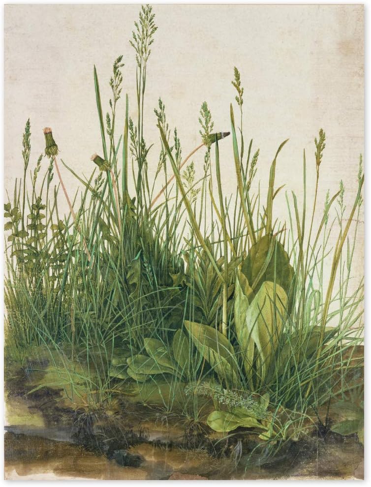 JUNIWORDS Poster, Albrecht Dürer, Das grosse Rasenstück, 60 x 78,5 cm, 60 x 78,5 cm