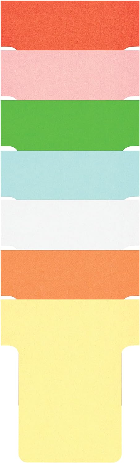 Nobo T-Karten Mini Planungsset, tragbar, Haftnotizen Set mit 2 Klappen mit 4 Spalten und 135 Slots,