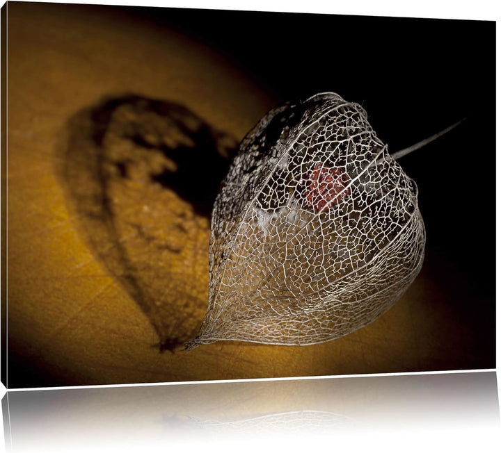 Schatten einer Physalis, Format: 100x70 auf Leinwand, XXL riesige Bilder fertig gerahmt mit Keilrahm
