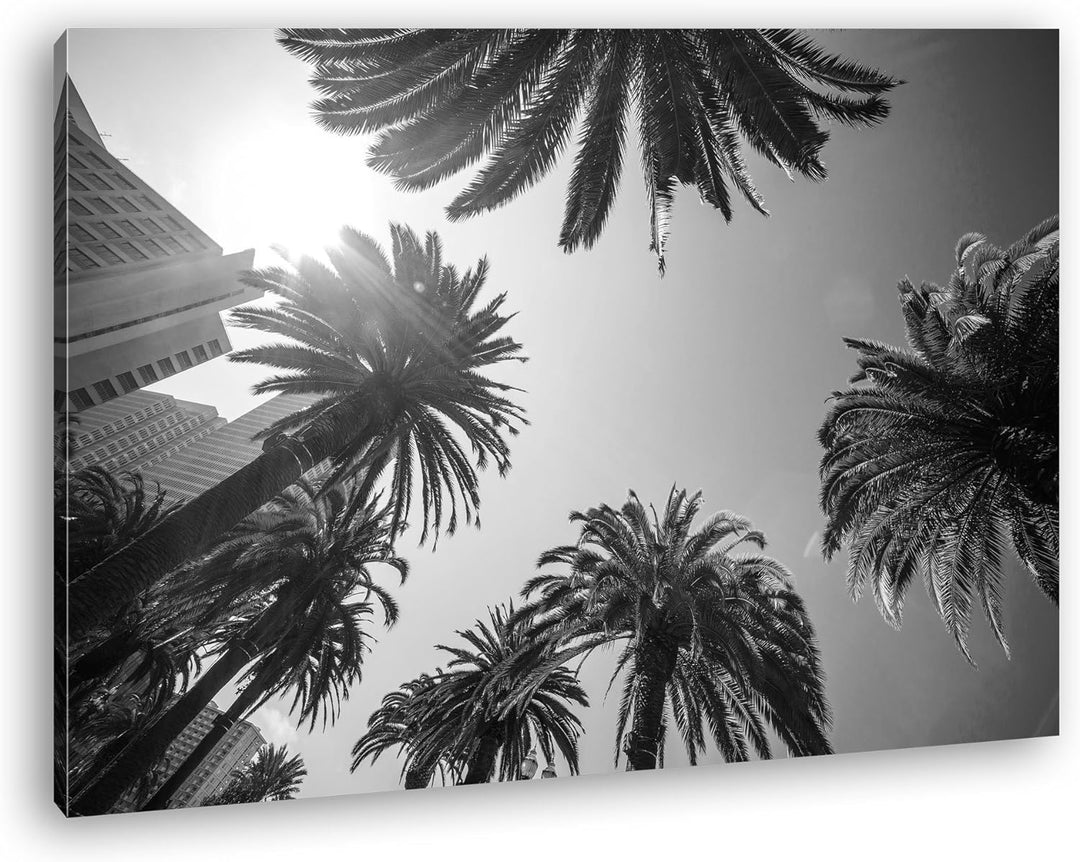 deyoli tropische Stadt mit Palmen Format: 100x70 Effekt: Schwarz/Weiss als Leinwand, Motiv fertig ge