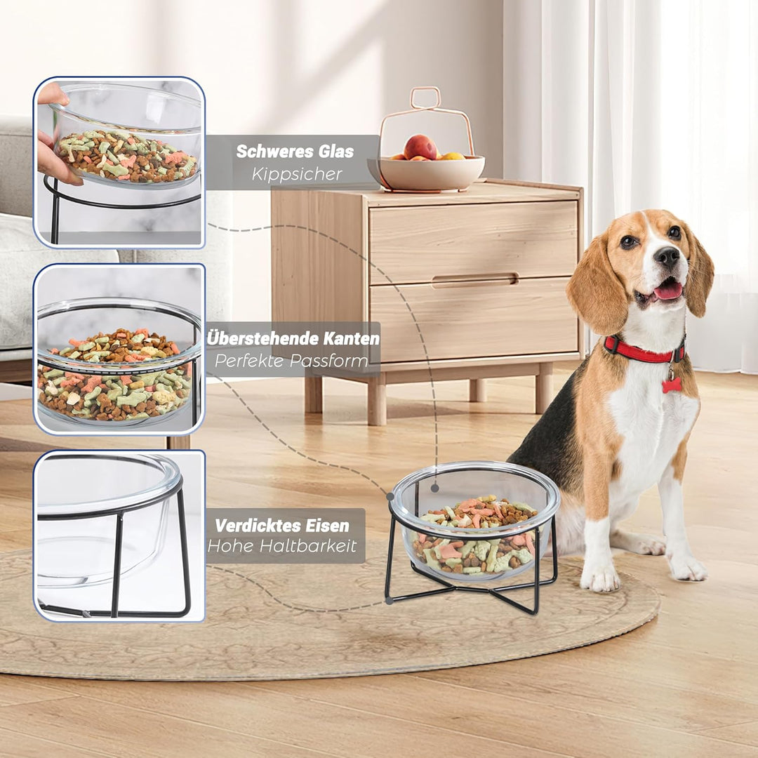 Hundenapf Katzennapf - Futternapf Hund Katze - Futterstation Hund Katzen Erhöht mit Ständer - Fressn