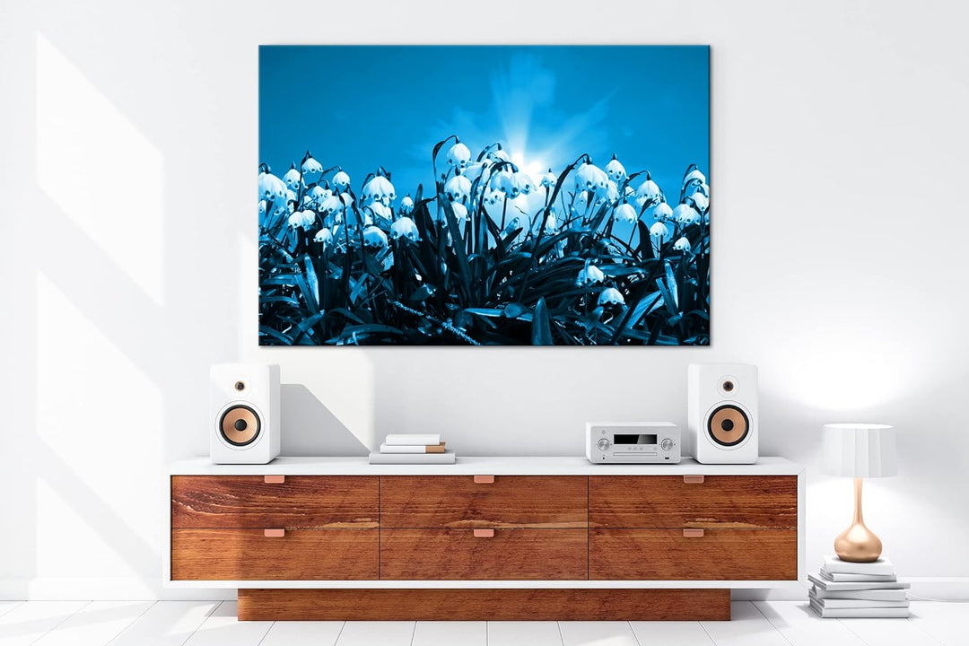 deyoli zauberhafte Schneeglöckchen Format: 80x60 Effekt: Monocrome Blau als Leinwand, Motiv fertig g