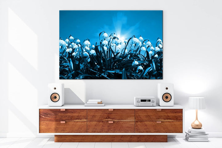 deyoli zauberhafte Schneeglöckchen Format: 80x60 Effekt: Monocrome Blau als Leinwand, Motiv fertig g