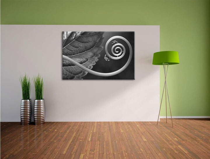 Pixxprint Zwei Marienkäfer auf einem Stängel als Leinwandbild/Grösse: 100x70 / Wandbild/Kunstdruck/f