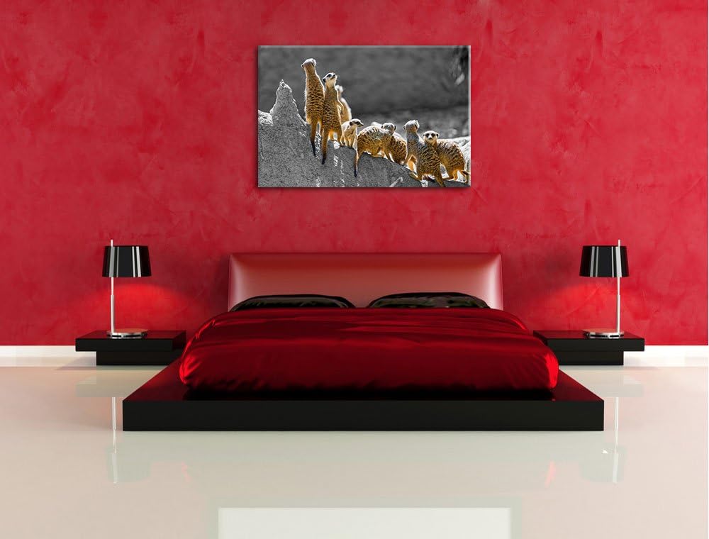 grosse liebevolle Erdmännchenfamilie schwarz/weiss auf Leinwand, XXL riesige Bilder fertig gerahmt m