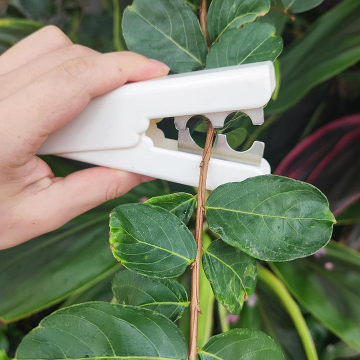 TUKEVA 2 Stück Rosen Dornen Entferner Rose Thorn Stripper Rosen Stripper Werkzeug werkzeug zum entfe