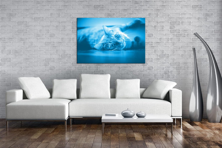 deyoli süsse verspielte Katze Format 80x60 Effekt: Monocrome Blau als Leinwandbild, Motiv fertig ger