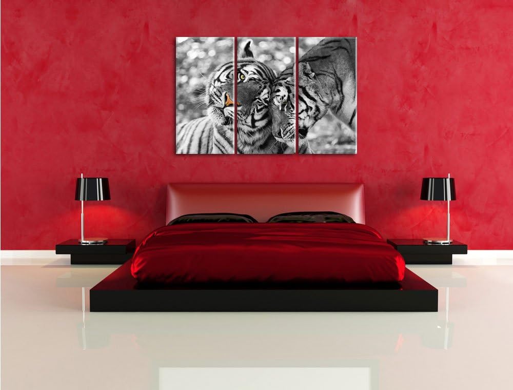 Pixxprint Zwei liebkosende Tiger als Leinwandbild/Grösse: 3 Teilig (120x80) cm/Wandbild/Kunstdruck/f