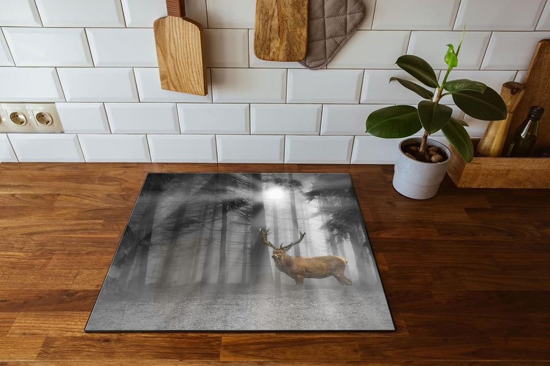 Hirsch auf Waldlichtung Sonnenstrahlen B&W Detail Herdabdeckplatte & Spritzschutz aus Echtglas | Für
