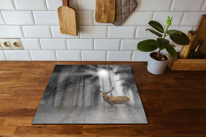 Hirsch auf Waldlichtung Sonnenstrahlen B&W Detail Herdabdeckplatte & Spritzschutz aus Echtglas | Für