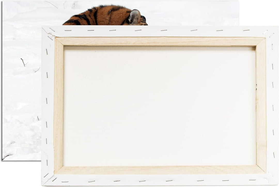 deyoli Tigermutter mit Jungtier in schöner Schneelandschaft im Format: 100x70 als Leinwandbild, Moti