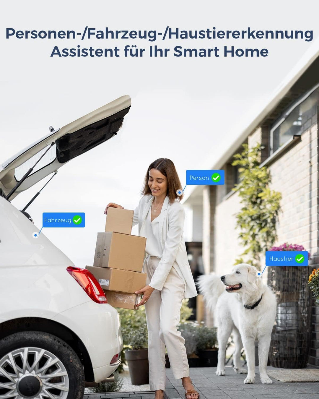 Reolink 4K PoE IP Kamera Outdoor mit Personen-/Autoerkennung, 5X optischer Zoom Überwachungskamera A