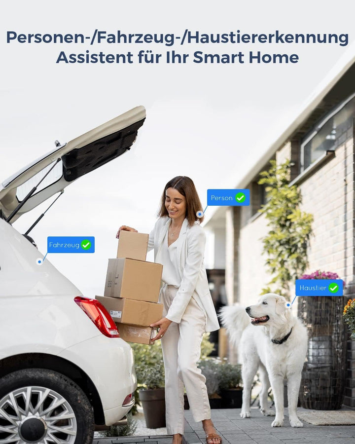 Reolink 4K PoE IP Kamera Outdoor mit Personen-/Autoerkennung, 5X optischer Zoom Überwachungskamera A