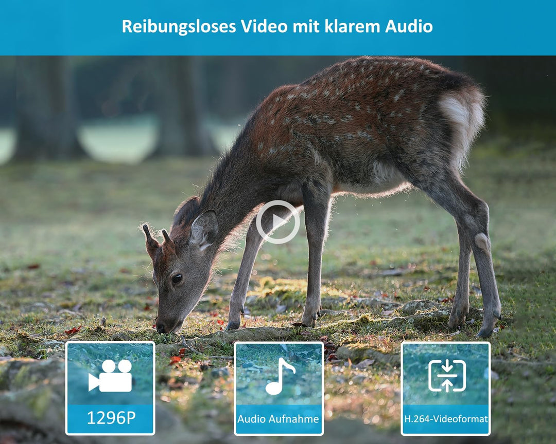 GardePro E5S Wildkamera 32MP 1296P H.264 Video, Wildtierkamera mit Bewegungsmelder Nachtsicht bis 30