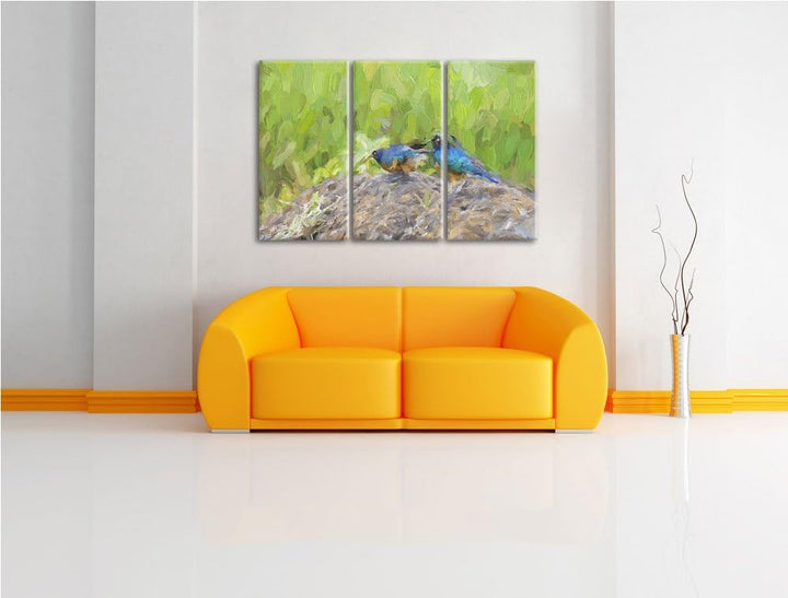 farbenfrohe Dreifarben-Glanzstare auf einem Stein NewArt 3-Teiler Leinwandbild 120x80 Bild auf Leinw