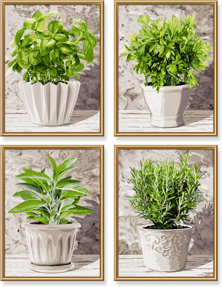 Schipper 609340687 Malen nach Zahlen, Küchenkräuter - Bilder malen für Erwachsene, inklusive Pinsel