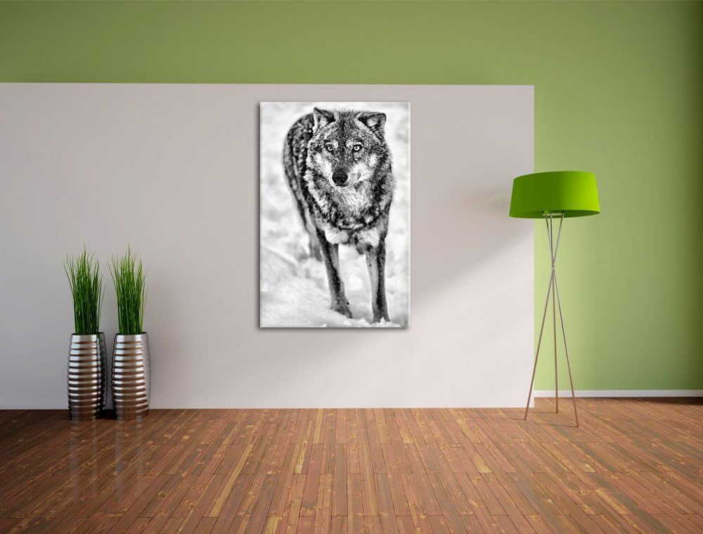 Pixxprint Wolf in Schneelandschaft als Leinwandbild/Grösse: 100x70 cm/Wandbild/Kunstdruck/fertig bes