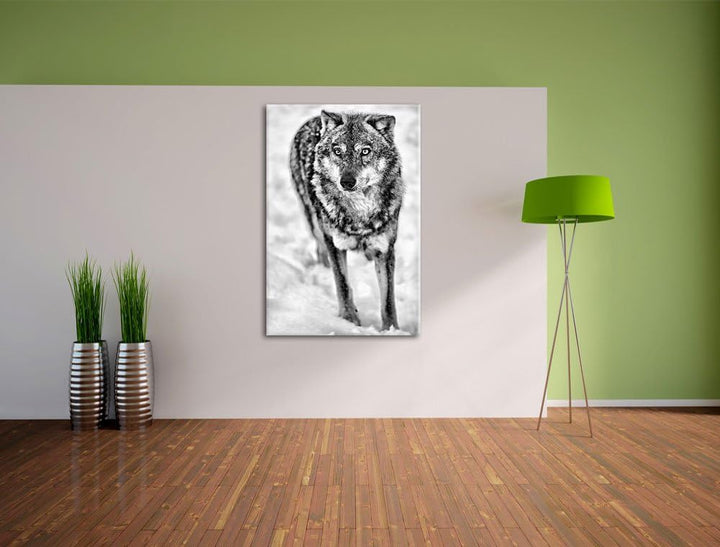 Pixxprint Wolf in Schneelandschaft als Leinwandbild/Grösse: 100x70 cm/Wandbild/Kunstdruck/fertig bes