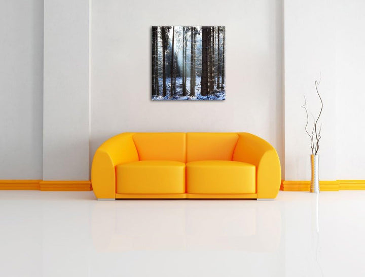 Pixxprint Winterwald, Format: 70x70 auf Leinwand, XXL riesige Bilder fertig gerahmt mit Keilrahmen,