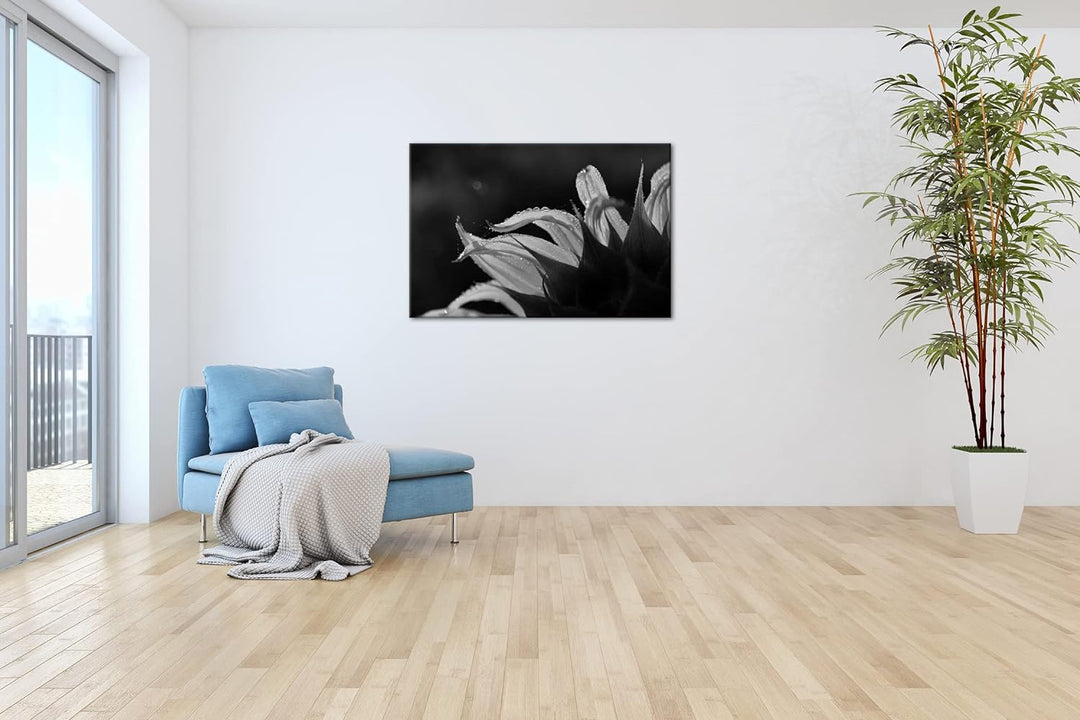 deyoli regnerische Sonnenblume Format: 80x60 als Leinwand, Effekt: Schwarz&Weiss, Motiv fertig gerah