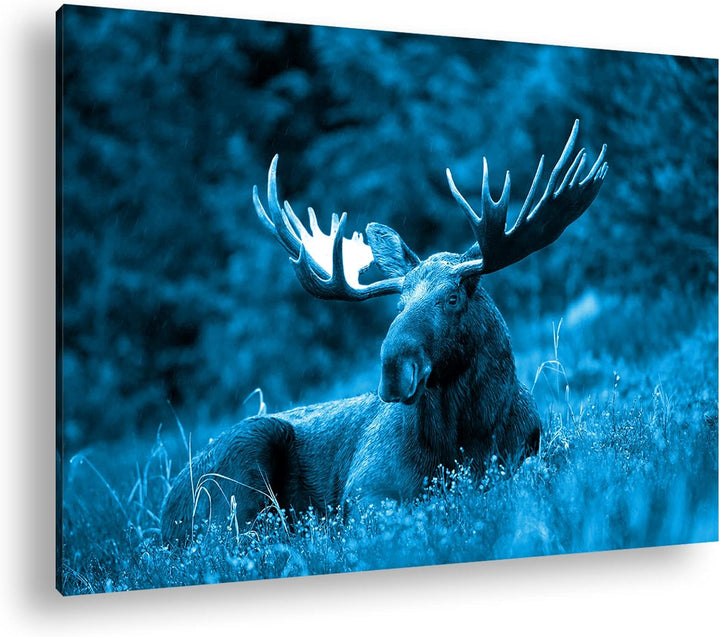 deyoli ruhig liegender Elch Format 80x60 Effekt: Monocrome Blau als Leinwandbild, Motiv fertig gerah