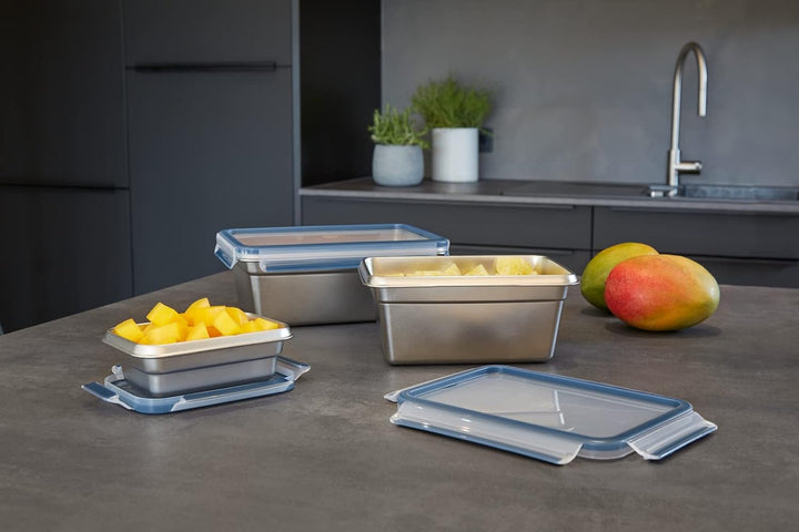 EMSA Clip&Close Edelstahl Vorratsdose 3 L, leicht und hygienisch, Edelstahl 304, Wasserdicht, Gefrie