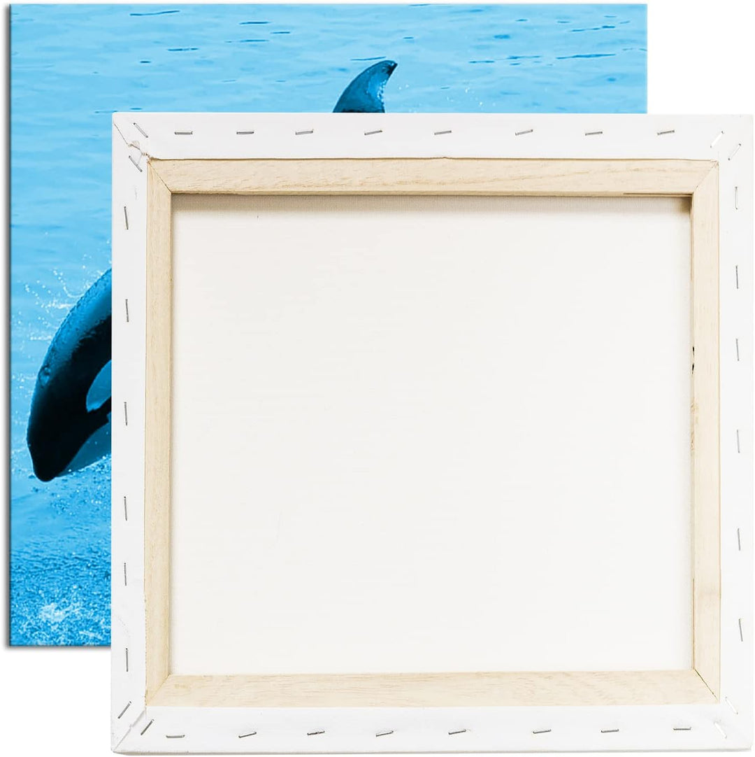 deyoli verspielter Orca Format: 70x70 Effekt: Zeichnung als Leinwandbild, Motiv auf Echtholzrahmen,