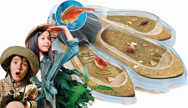 Clementoni Galileo Lab – Original Triops Maxi de Luxe, Züchten & Beobachten von Urzeitkrebsen, Spiel