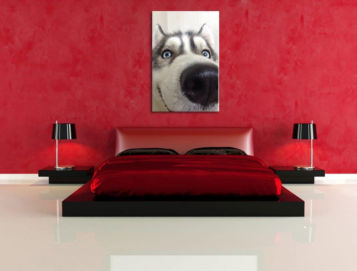 Glücklicher Husky, Format: 100x70 auf Leinwand, XXL riesige Bilder fertig gerahmt mit Keilrahmen, Ku