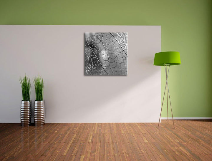 Rote Physalis Schwarz/Weiss, Format: 70x70 auf Leinwand, XXL riesige Bilder fertig gerahmt mit Keilr