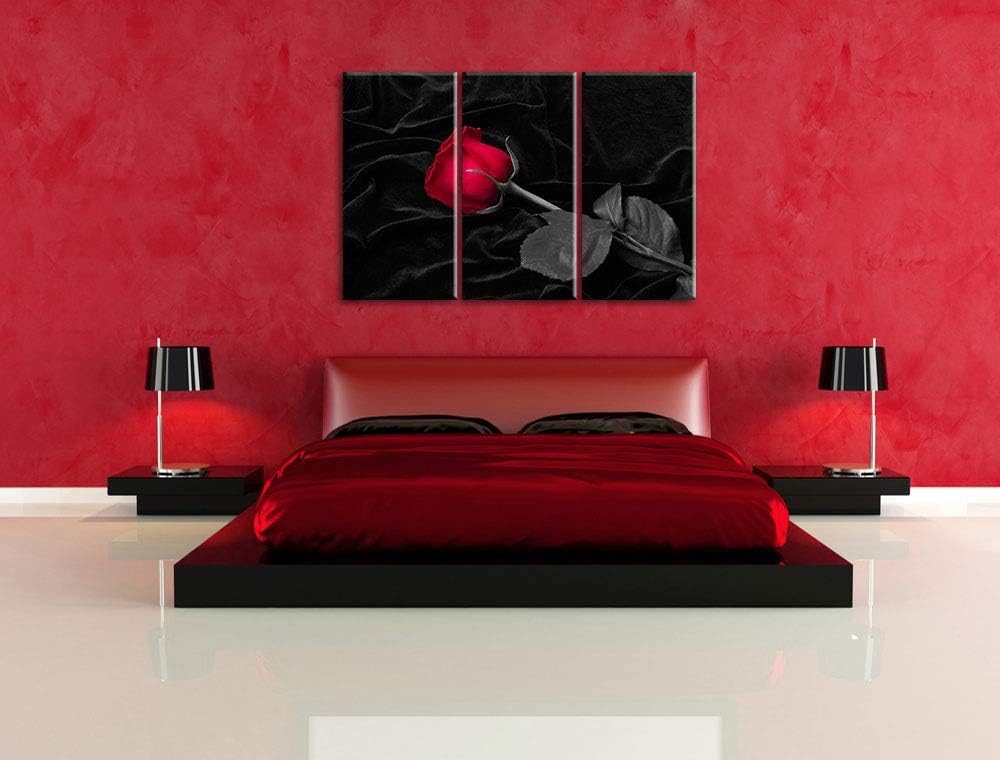rote Rose gebettet auf schwarzem Samt schwarz/weiss 3-Teiler Leinwandbild 120x80 Bild auf Leinwand,