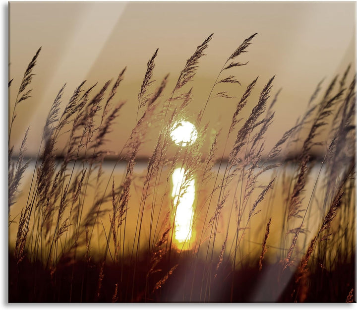 Gräser bei Sonnenuntergang Herdabdeckplatte & Spritzschutz aus Echtglas | Für Herd-Kochfelder | 60x5