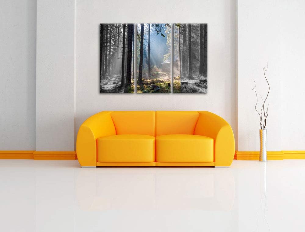 Häuschen im Wald mit Sonnenstrahlen schwarz/weiss 3-Teiler Leinwandbild 120x80 Bild auf Leinwand, XX
