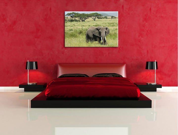 gigantischer Elefant in der Savanne Leinwand, XXL riesige Bilder fertig gerahmt mit Keilrahmen, Kuns