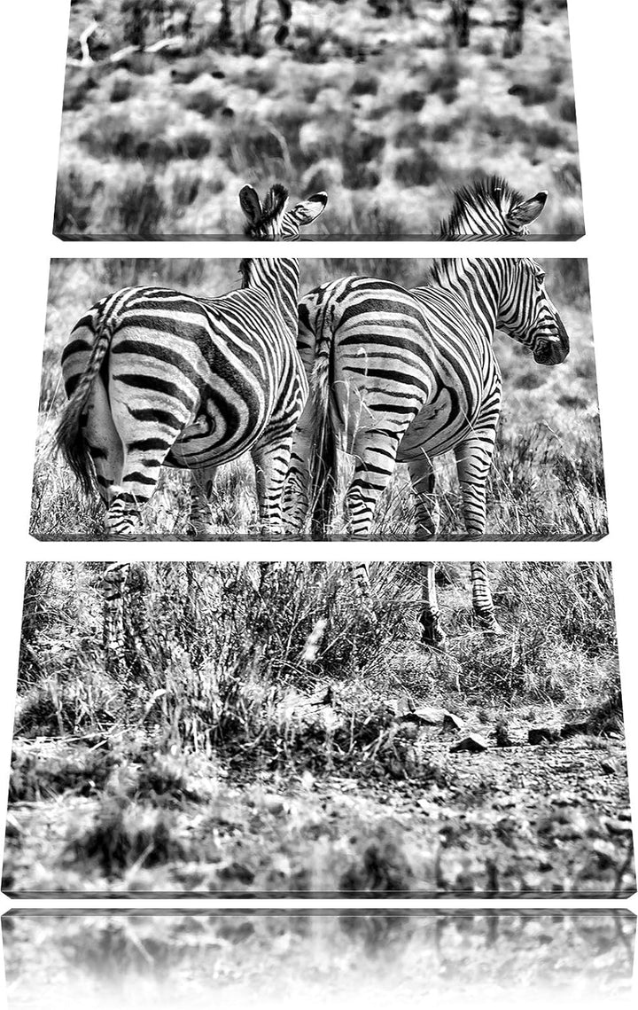 Pixxprint Zebraherde in Savanne / 3-Teilig/Gesamtmass 120cm Leinwandbild bespannt auf Holzrahmen/Wan