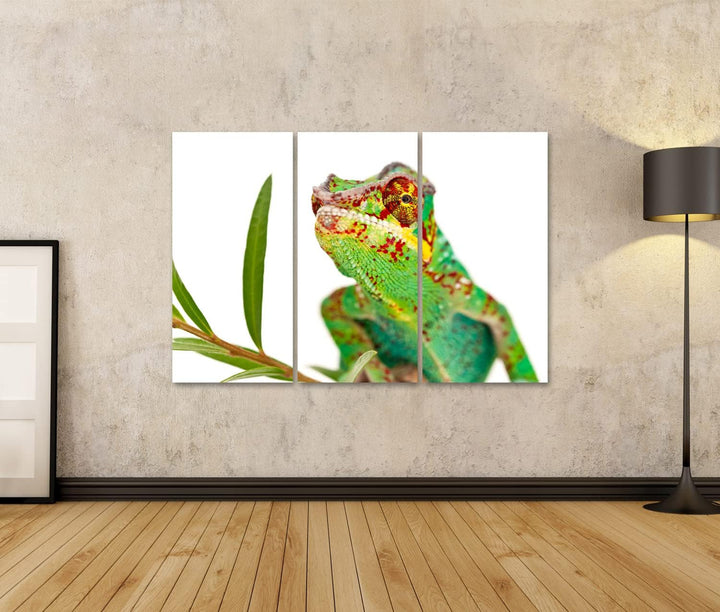islandburner Bild auf Leinwand Buntes Männliches Chamäleon Bilder Wandbilder Poster Leinwand 130x80c